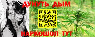 2c-b Кингисепп