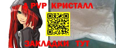 2c-b Кингисепп
