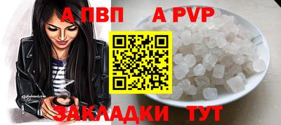 2c-b Кингисепп