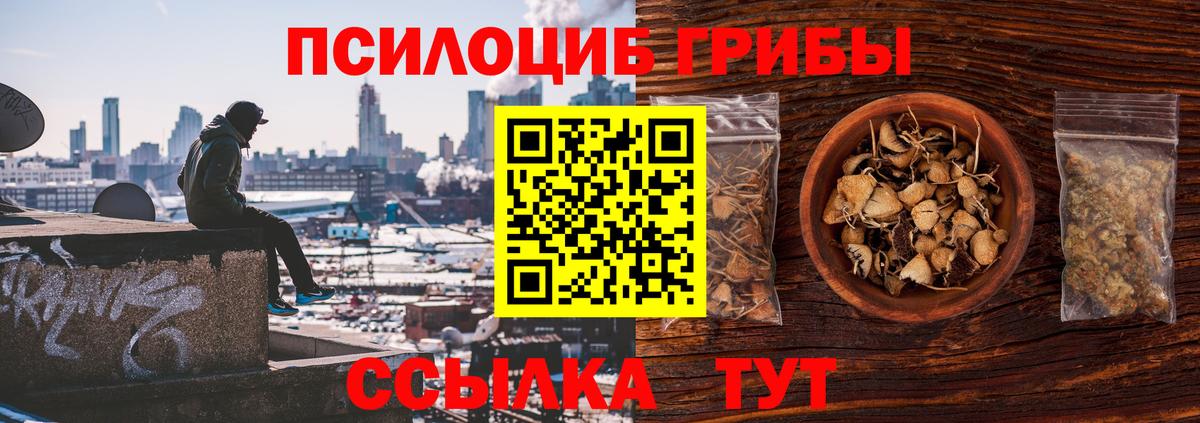 Галлюциногенные грибы Psilocybine cubensis  Псилоцибиновые грибы мухоморы  Крымск  Вход с VPN 
