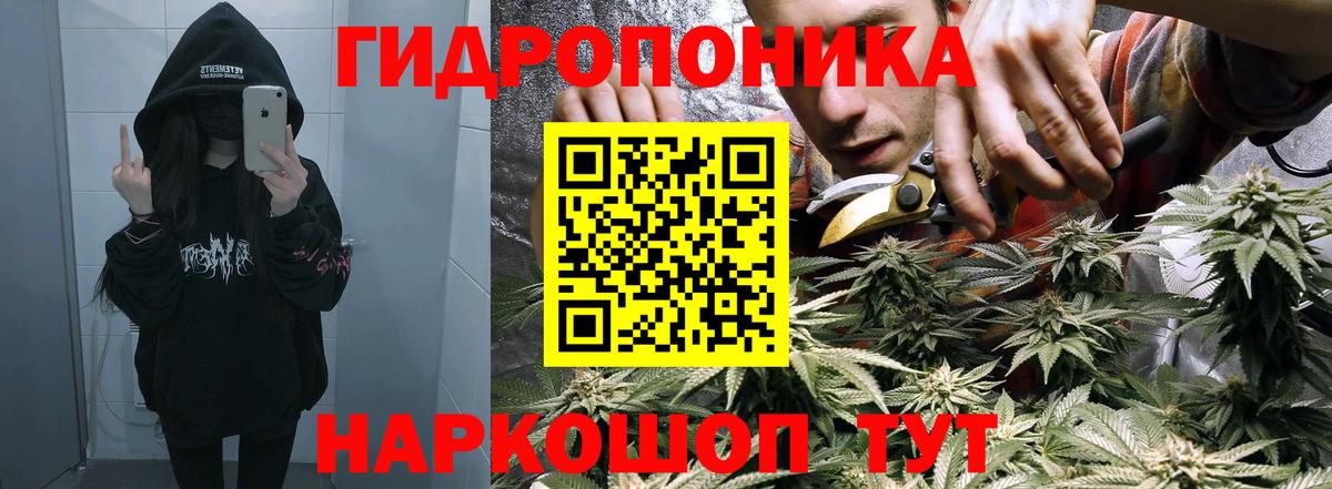 Конопля AK-47 Крымск